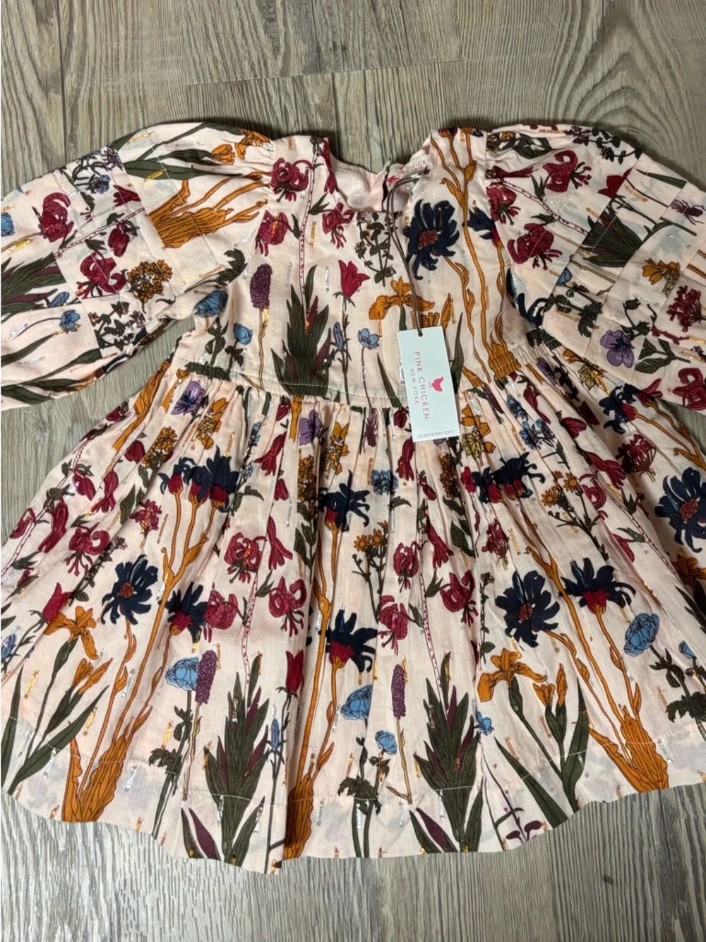 Pink Chicken Brooke Dress Set Autumn Flowers Baby Girl 6 12M NWT